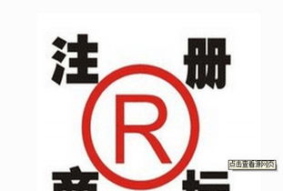 企业成长快车道 一站式综合服务助力创业无忧